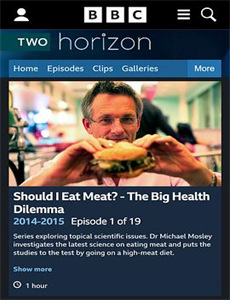 天鹅公主:皇室之谜