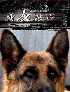 最后的犀牛:新希望