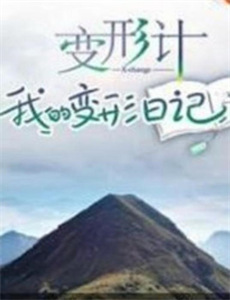 拉斯维加斯 第二季