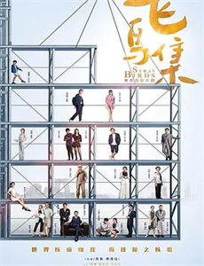 小明星大跟班2016