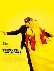 炮炮向前冲一天