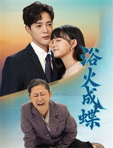 无声的证言第二十五季