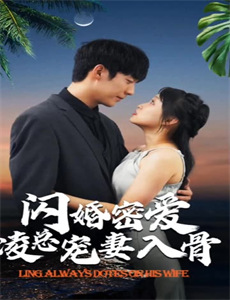 春花秋月未了情