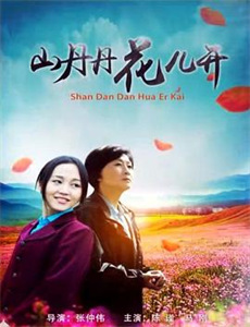 影王少帅的新娘