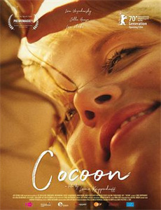 离婚从被求婚开始